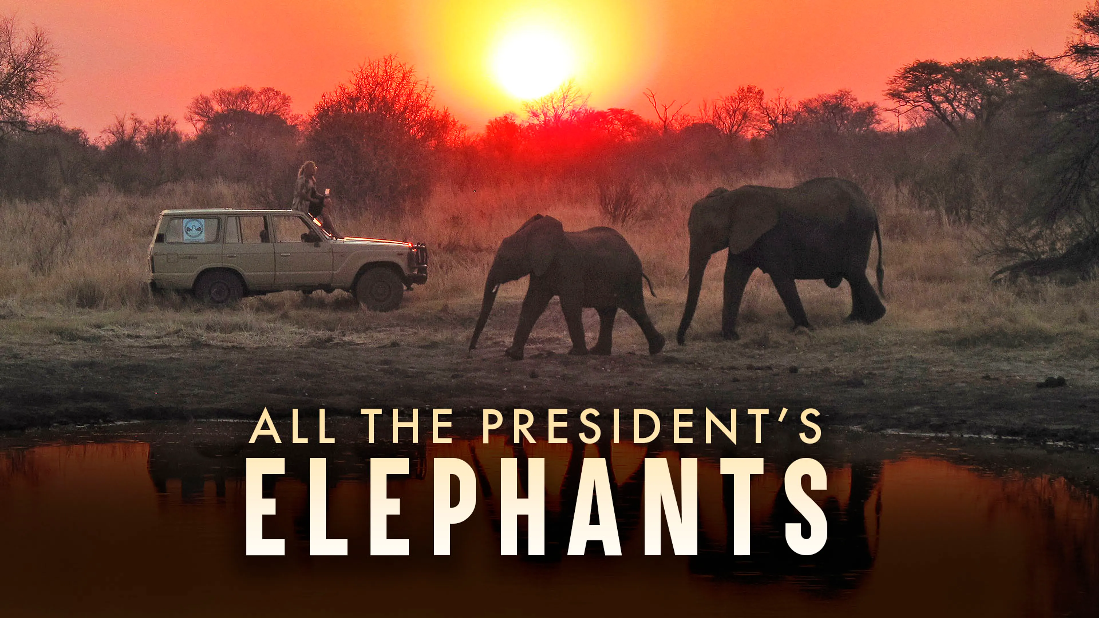 All The President's Elephants poster